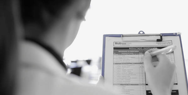 Technical and Legal consultancy and Experts Reports